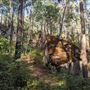 Dwellingup State Forest