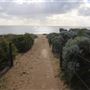 Avalon Beach