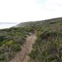 Yallingup - Rabbit Hill