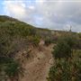 Yallingup - Rabbit Hill