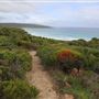Yallingup - Torpedo Rock