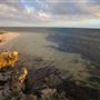 Dynamite Bay