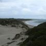 Sandy Cape