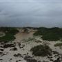 Hangover Bay