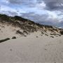 Claytons Beach
