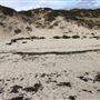 Claytons Beach