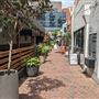 Shafto Lane