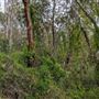 Banyowla Regional Park
