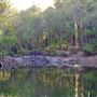 Dwellingup State Forest