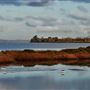 Murray River and Peel-Harvey Estuary
