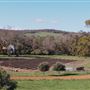 The Chittering Valley