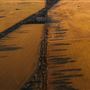 Wheatbelt Region