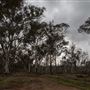 Capercup Nature Reserve