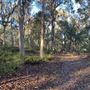 Shambala Forest Retreat