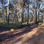 Shambala Forest Retreat