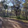 Shambala Forest Retreat
