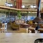 Shambala Forest Retreat