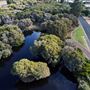 Big Swamp