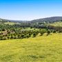 Wheatbelt Region