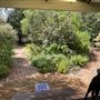 Quenda Cottage