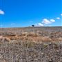 Chapman Valley