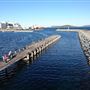 Albany -  Marine and Port