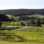 Bickley-Carmel Valley