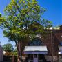 East Fremantle