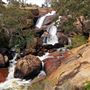 John Forrest National Park