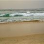 Cottesloe Beach