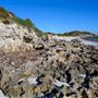 Milligan Island Eco Camping