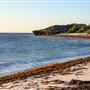 Milligan Island Eco Camping