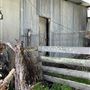 Shearing Shed @ Duke's Vineyard