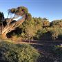Yanchep Beach