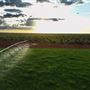 Pardoo Wagyu Station