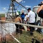 Pardoo Wagyu Station