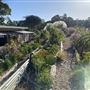 The Straw House