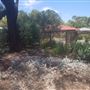 11 Honeysett Court