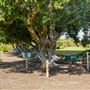 Booyeembarra Park