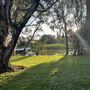 Sarlia Park
