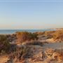 Yardie Creek
