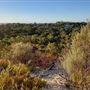 Kings Park