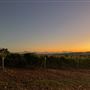 Shepherds Hut Winery