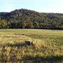 Porongorup National Park