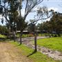Alwyn Park Stud