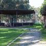 Alwyn Park Stud