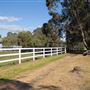 Alwyn Park Stud