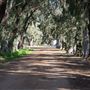 Alwyn Park Stud