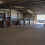Gold Front Breeding & Racing