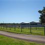 Gold Front Breeding & Racing